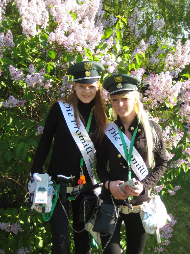 Baumbluete-Werder